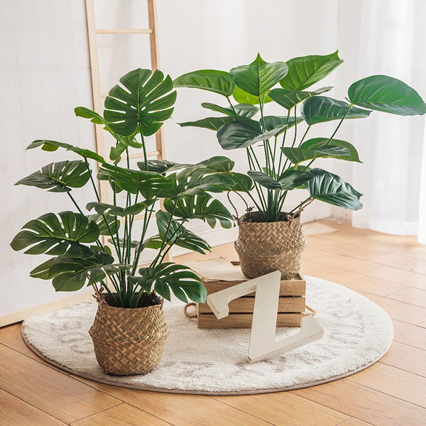 Artificial Plants Turtle Back Leaf