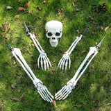 Skeleton Stakes Halloween Graveyard Decor